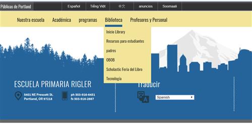 Webpage in Spanish 